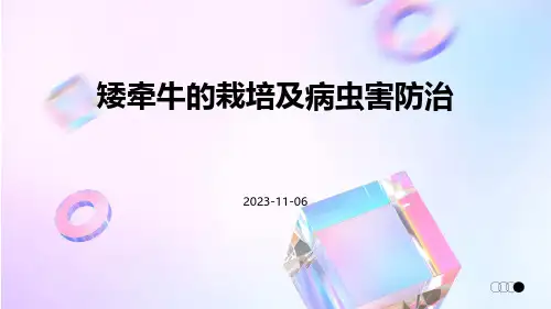 矮牵牛的栽培及病虫害防治