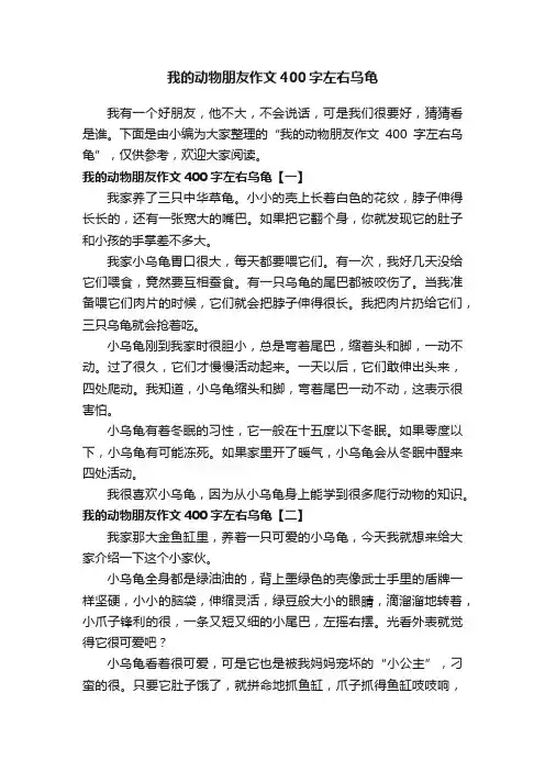 我的动物朋友作文400字左右乌龟