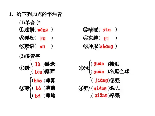 高一语文外国诗歌四首1(PPT)5-4
