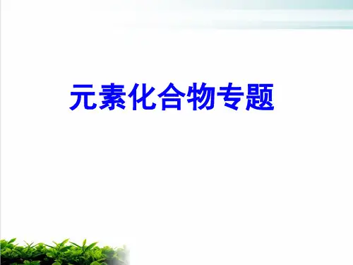《元素化合物复习》PPT1 人教课标版
