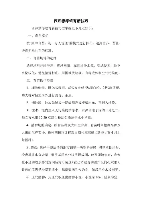 西芹漂浮培育新技巧.doc