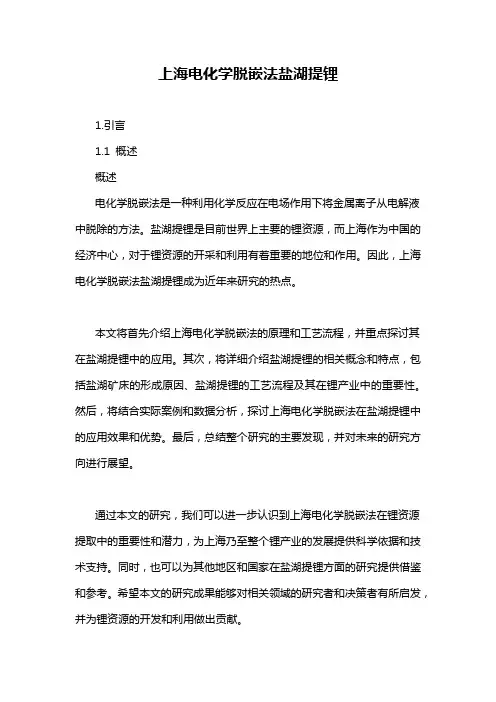 上海电化学脱嵌法盐湖提锂