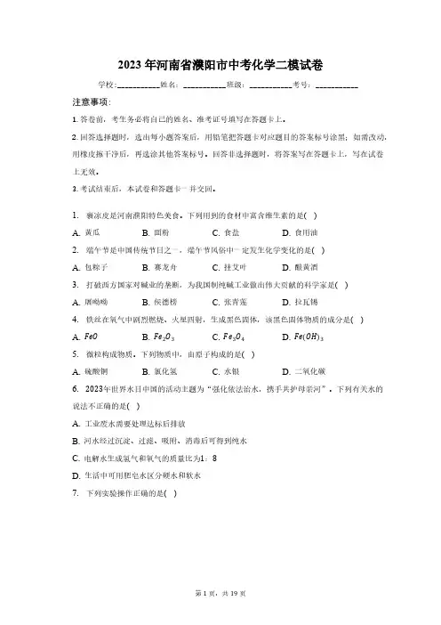 2023年河南省濮阳市中考化学二模试卷(含解析)