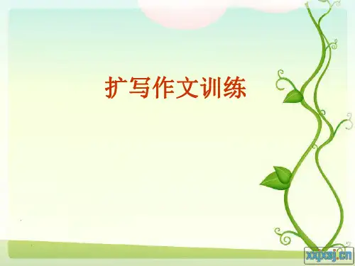 二年级中心句训练