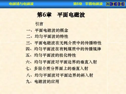 第6章平面电磁波-精品
