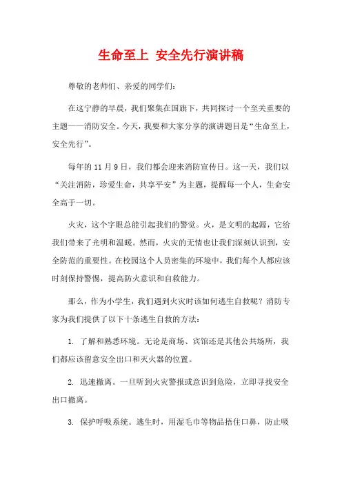 生命至上 安全先行演讲稿
