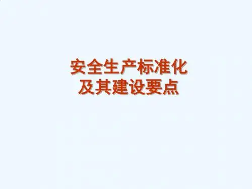 安全生产标准化及其建设要点