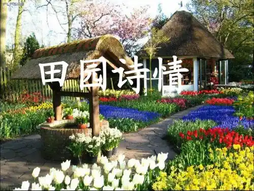 四年级上苏教版《田园诗情》ppt课件