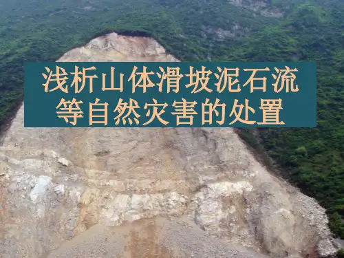 山体滑坡泥石流灾害处置