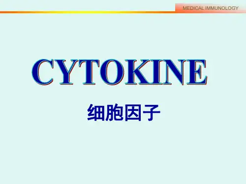 细胞因子