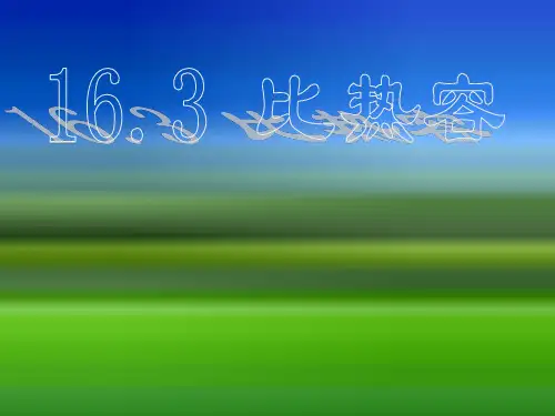 初中物理人教版比热容完整-PPT精品文档21页