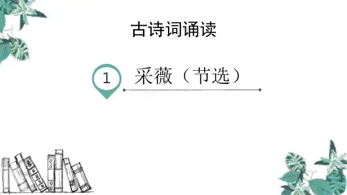 部编版六年级下册语文《采薇》说课教学课件