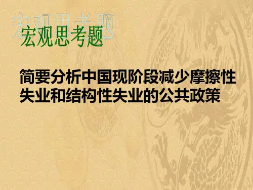 简要分析中国现阶段减少摩擦性失业和结构性失业的公共政策-优选PPT