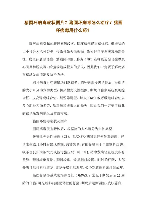 猪圆环病毒症状图片？猪圆环病毒怎么治疗？猪圆环病毒用什么药？