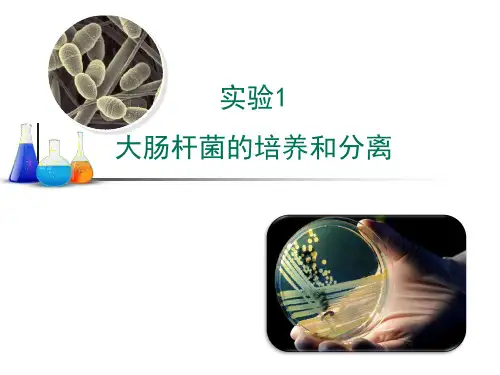 浙科版高二生物选修1_《大肠杆菌的培养和分离》教学课件2