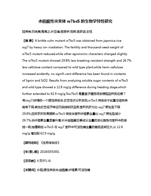 水稻脆性突变体w7bc5的生物学特性研究