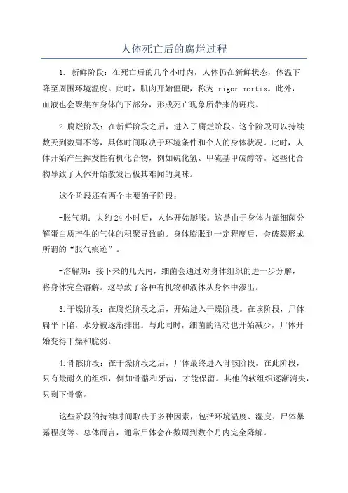 人体死亡后的腐烂过程