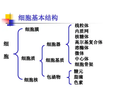细胞NXPowerLite