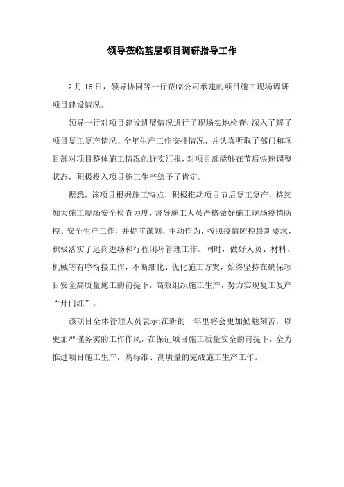 领导莅临基层项目调研指导工作