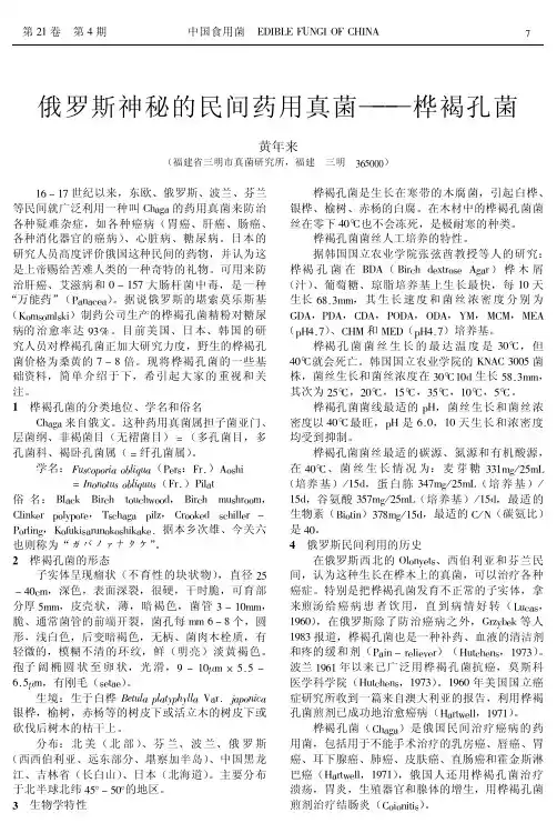 罗斯神秘的民间药用真菌——桦褐孔菌