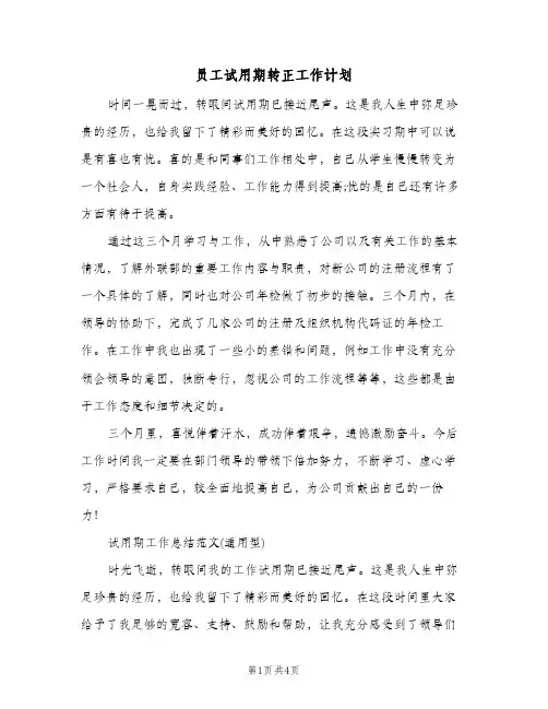 员工试用期转正工作计划（2篇）