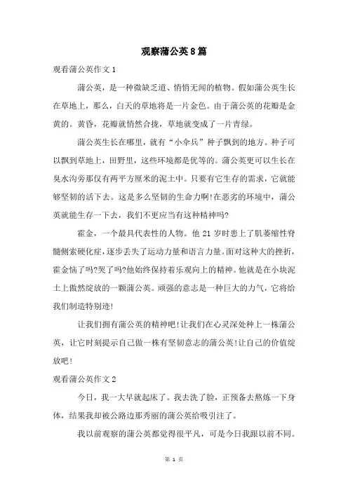 观察蒲公英8篇