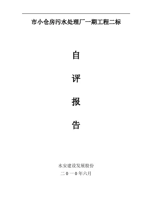 污水处理厂自评报告
