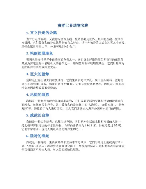 海洋世界动物名称