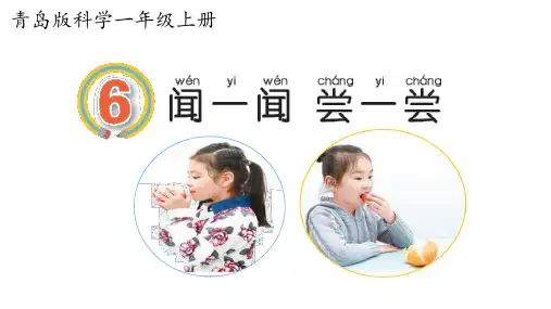 青岛版(六三制)一年级科学上册闻一闻尝一尝课件