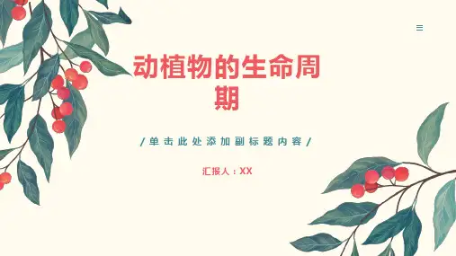 动植物的生命周期