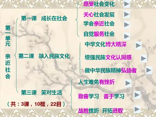 政治九年级下册第一单元框架结构及知识点PPT课件