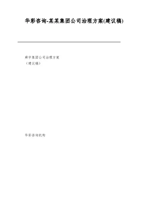 华彩咨询-某某集团公司治理方案(建议稿)