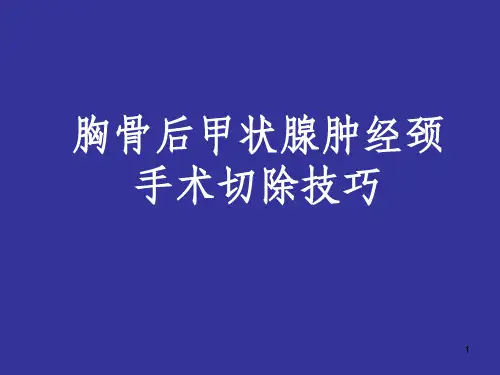 (医学课件)胸骨后甲状腺肿的外科处理PPT幻灯片