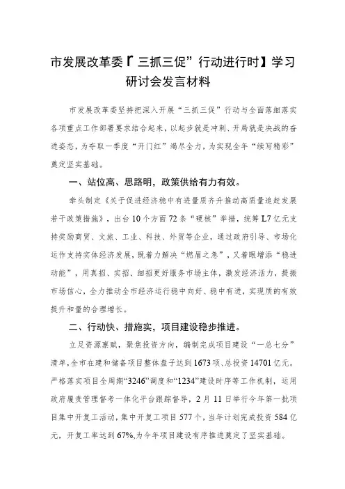 市发展改革委【“三抓三促”行动进行时】学习研讨会发言材料(3篇)
