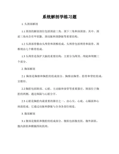 系统解剖学练习题