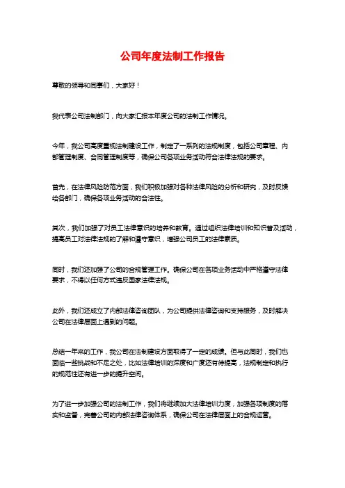 公司年度法制工作报告