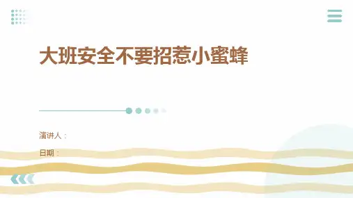 大班安全不要招惹小蜜蜂