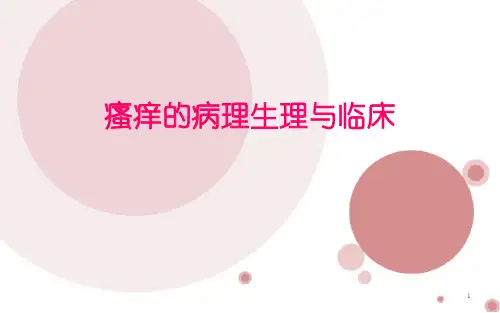 瘙痒的病理生理与临床PPT课件【65页】