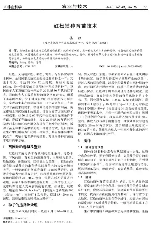 红松播种育苗技术