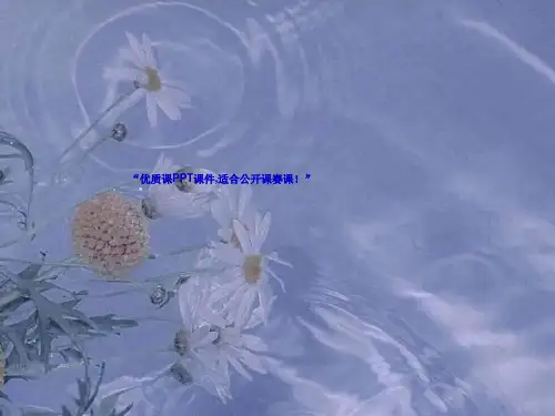 部编三年级上数学《解决问题》谢东晓PPT课件 一等奖新名师优质课获奖比赛公开人教版