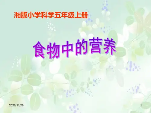 湘教版六年级上册科学《食物中的营养》精品PPT教学课件