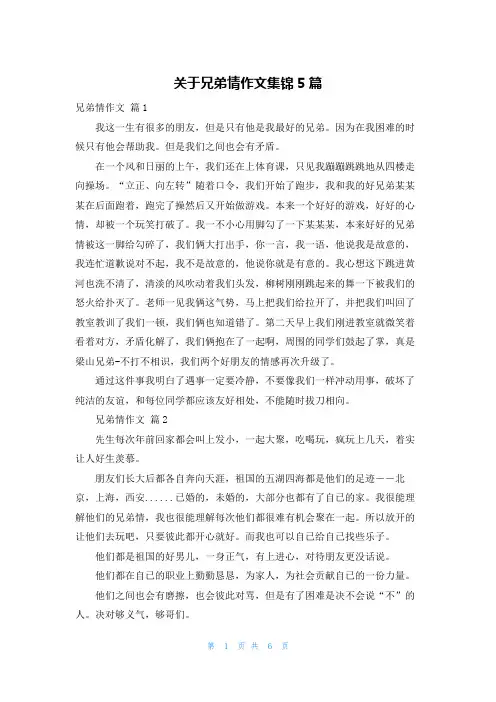 关于兄弟情作文集锦5篇