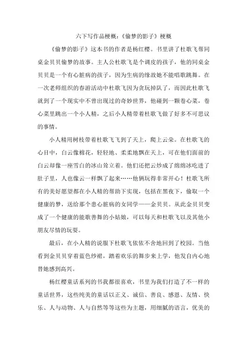 六年级下册写作品梗概500字偷梦的影子