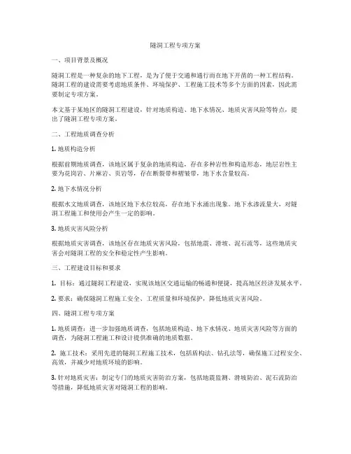 隧洞工程专项方案