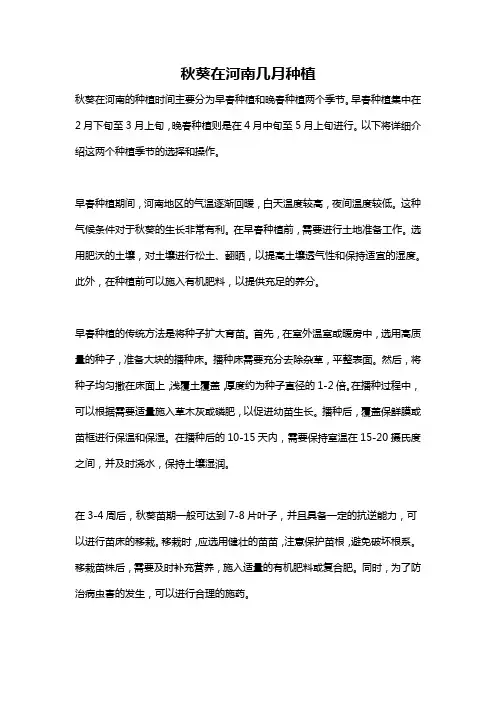 秋葵在河南几月种植