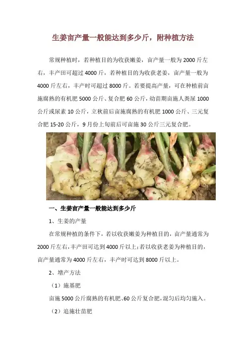 生姜亩产量一般能达到多少斤,附种植方法