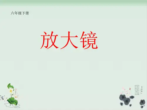六年级下册科学课件PPT：《放大镜》 教科版