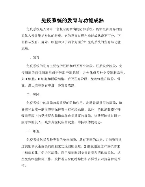 免疫系统的发育与功能成熟