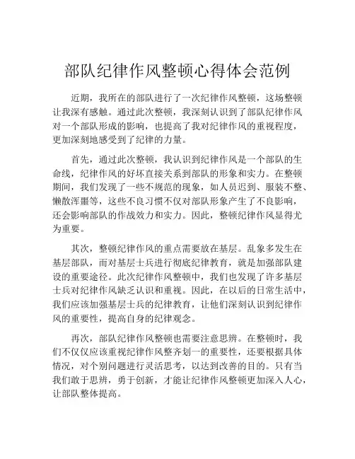 部队纪律作风整顿心得体会范例
