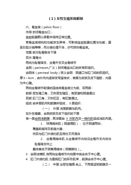 （1）女性生殖系统解剖